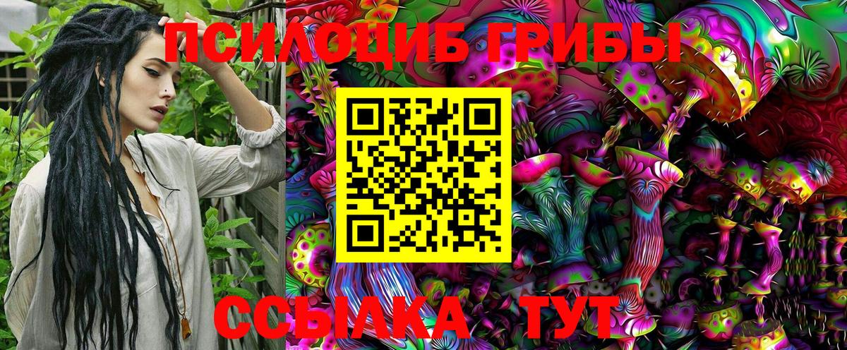 Галлюциногенные грибы Psilocybe  Псилоцибиновые грибы Psilocybe  Вход с VPN  Мариинск 